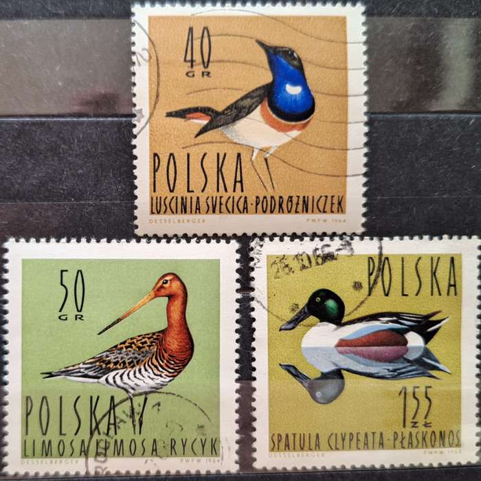 Poland 1964 Water birds 3 Used Hinged stamps