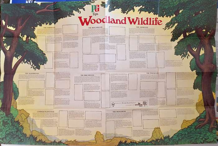 PG Tips 1980s Poster without Cards:  Woodland Wildlife