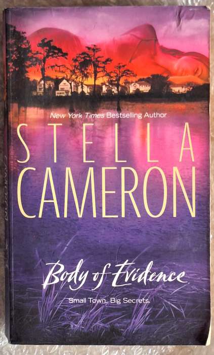 Body of Evidence by Stella Cameron Paperback