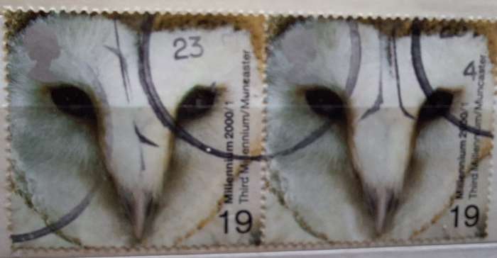 GB 2000 Millennium Above and Beyond: Barn Owl Horizontal Pair used stamps