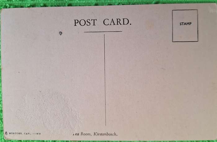 Vintage Hortors Post Card of Tea Room, Kirstenbosch