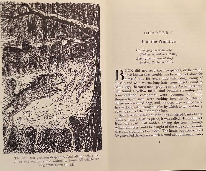 The Call of the Wild by Jack London Hardcover 1968 Reprint