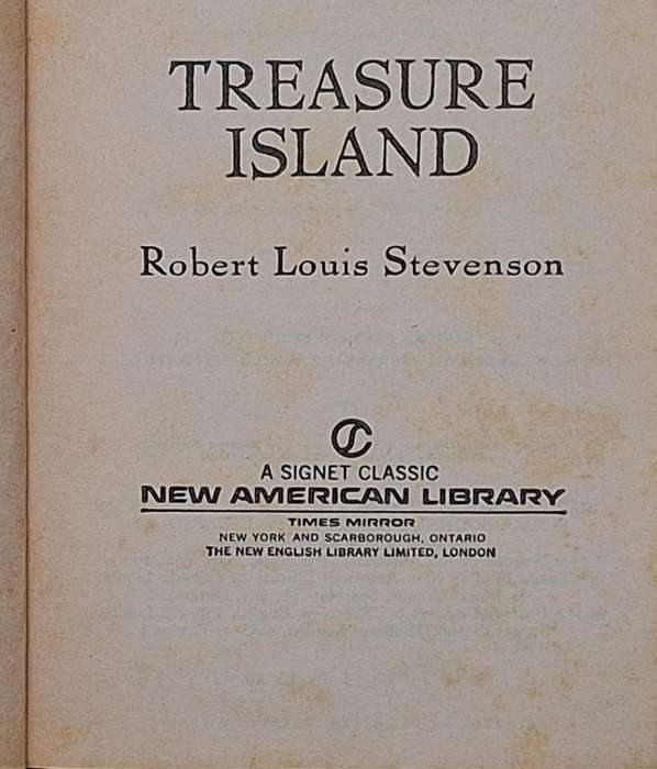 Treasure Island by Robert Louis Stevenson Paperback