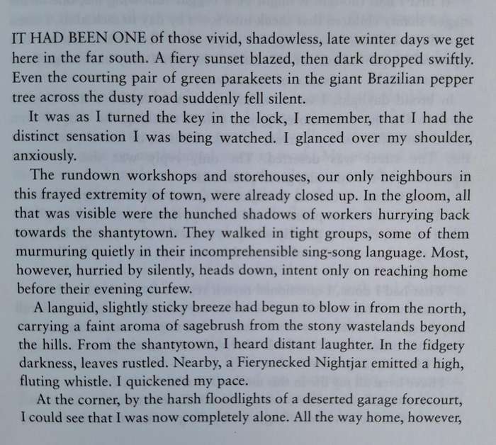 My Shadow by Bryan Rostron Paperback INSCRIBED