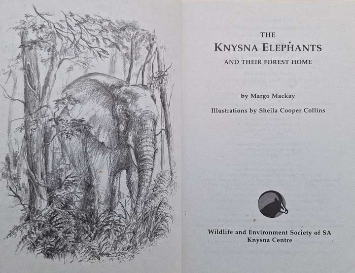 The Knysna Elephants and their Forest Home by Margo Mackay Paperback