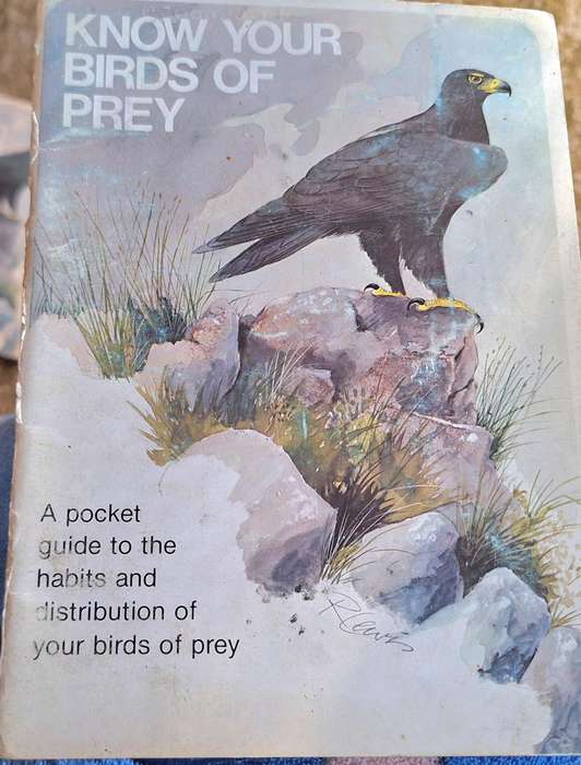 Caltex Know your Birds of Prey