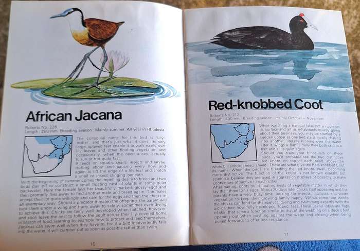 Caltex Know your Water Birds: Lake and vlei birds