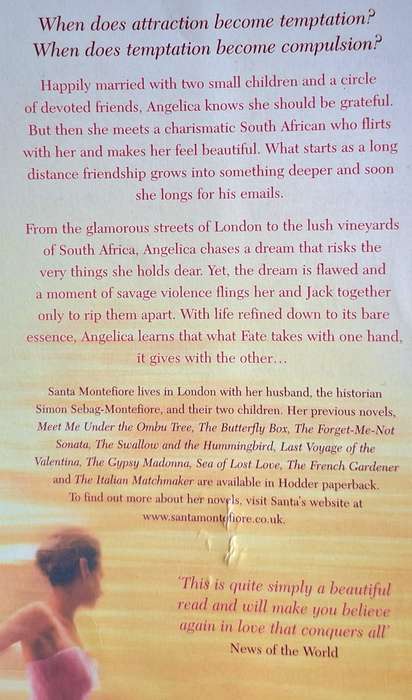 The Affair by Santa Montefiore Paperback