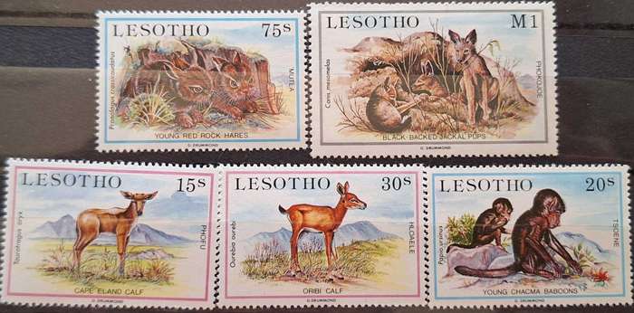 Lesotho 1984 Baby Animals Set of 5 Mint stamps