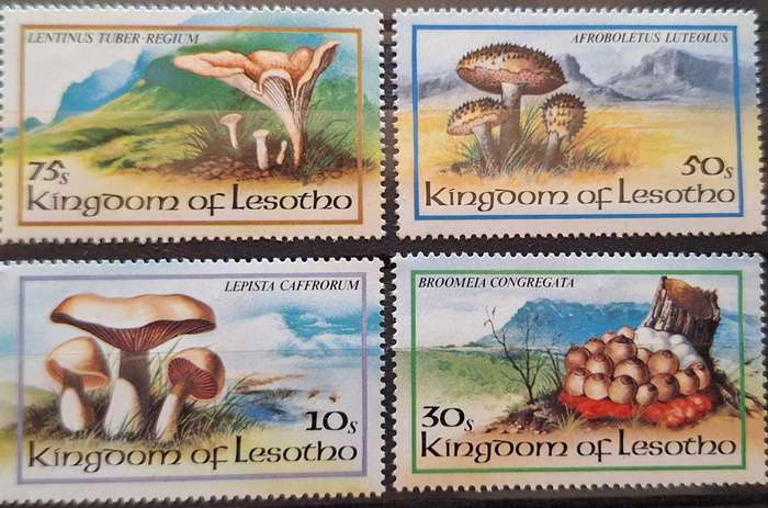 Lesotho 1983 Fungi Set of 4 Mint stamps