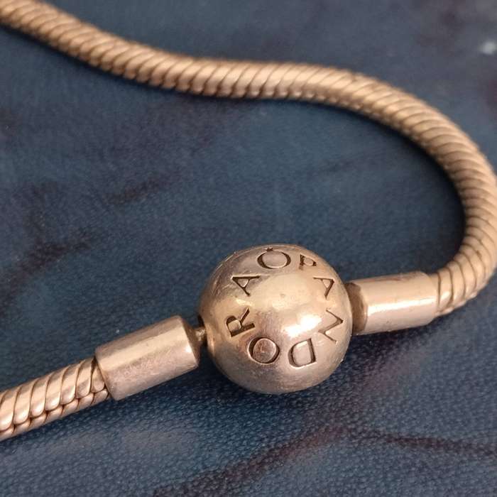Pandora Bracelet #WS006