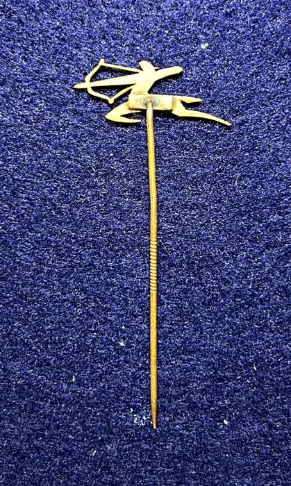 South African Civil Aviation - AIR INDIA PIN