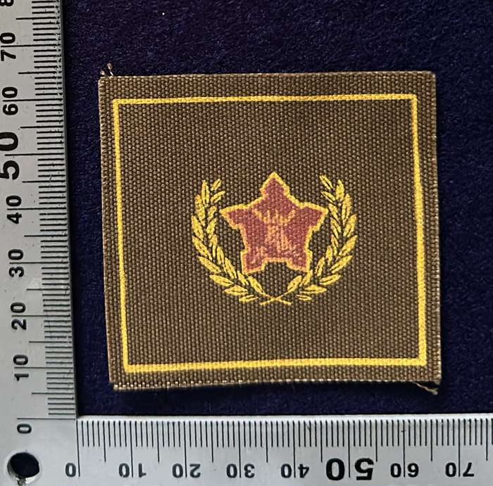 SADF 5 YEAR RESERVEST MATERIAL BADGE