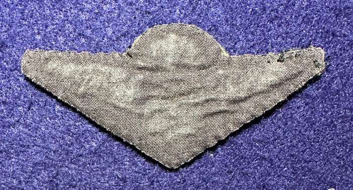 SAP TASKFORCE WINGS - EMBROIDERED