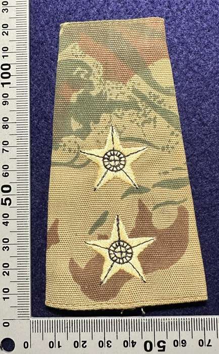 SAP TASKFORCE CAMO RANK - LT