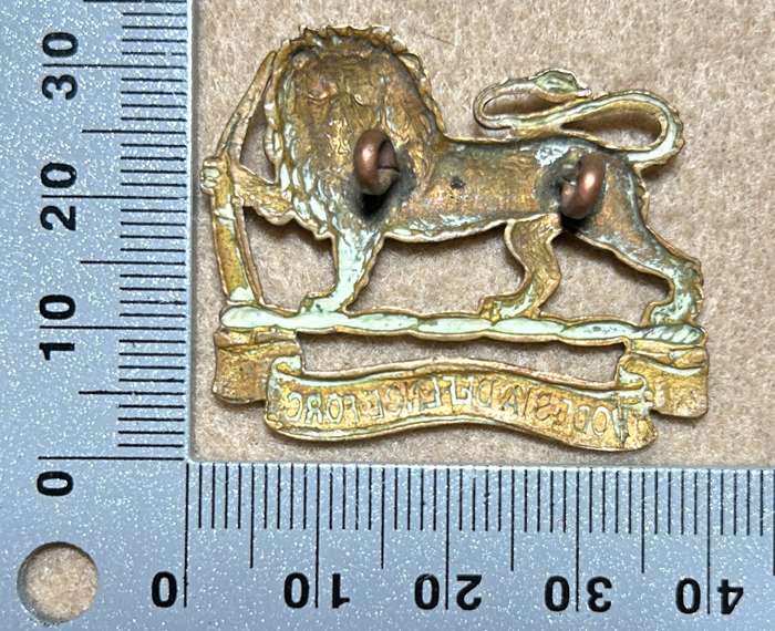 RHODESIA DEFENCE FORCE - BADGE - 1918-23