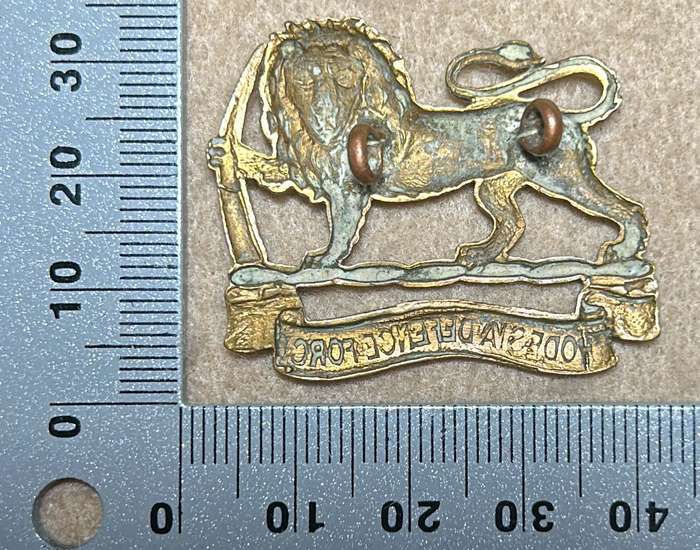 RHODESIA DEFENCE FORCE - BADGE - 1918-23