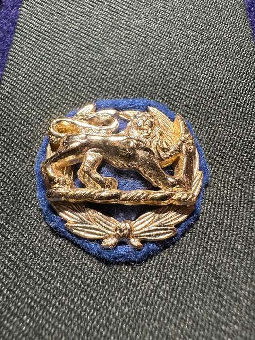 RHODESIA SIGNALS - MAJORS RANK BOARD GREENS