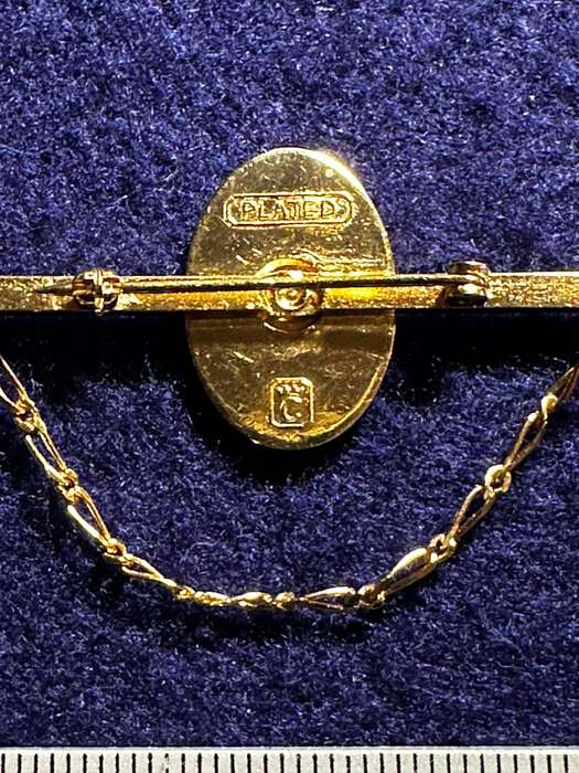 Bophuthatswana National Intelligence Organisation Tie Pin with Chain (Gold Plated)