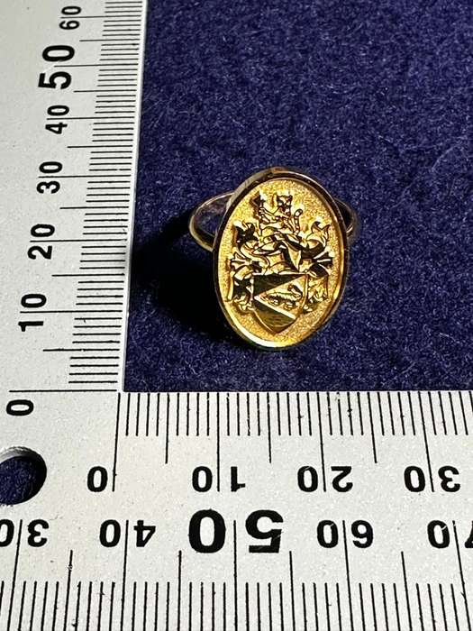 Bophuthatswana National Intelligence Organisation Cravat / Scarf Pin (Gold Plated)