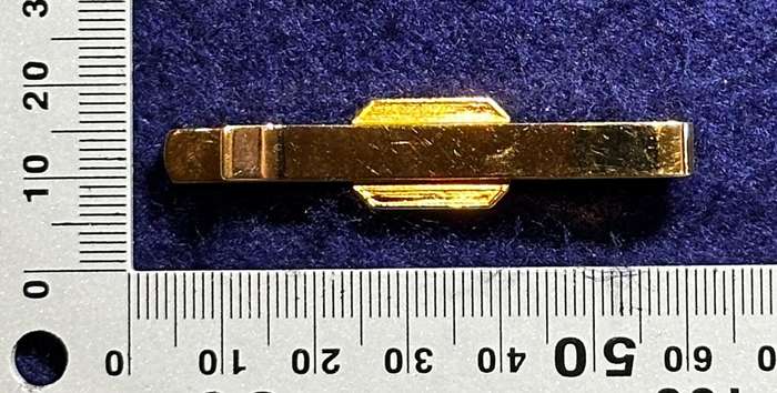 Bophuthatswana National Intelligence Organisation Cravat / Tie Pin (Gold Plated)