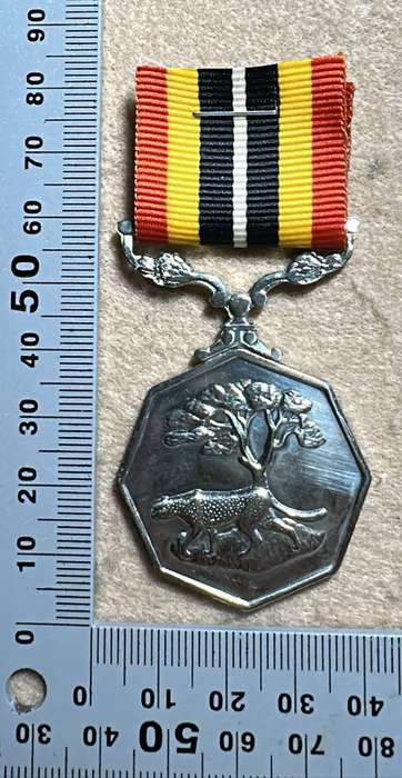 SA Military Decorations & Medals - Southern Africa Medal - Full Size - Numbered 53152