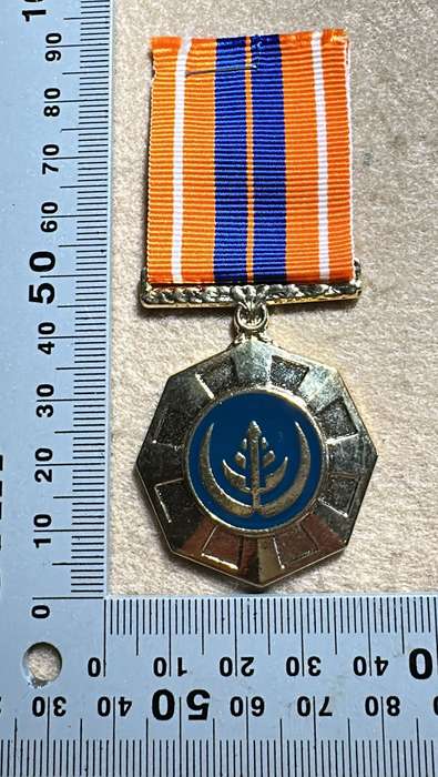 SA Military Decorations & Medals - Pro Patria Medal - Full Size - Numbered 319630