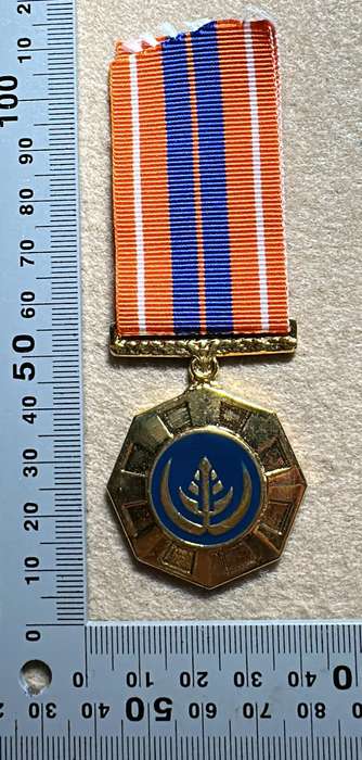 SA Military Decorations & Medals - Pro Patria Medal - Full Size - Numbered 311998