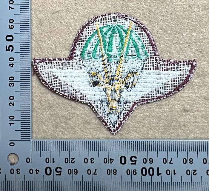 SWA Paratroop embroidered Beret Badge