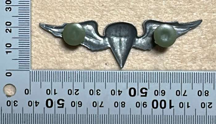 SWA Basic Parachute Qualification Badge - Metal
