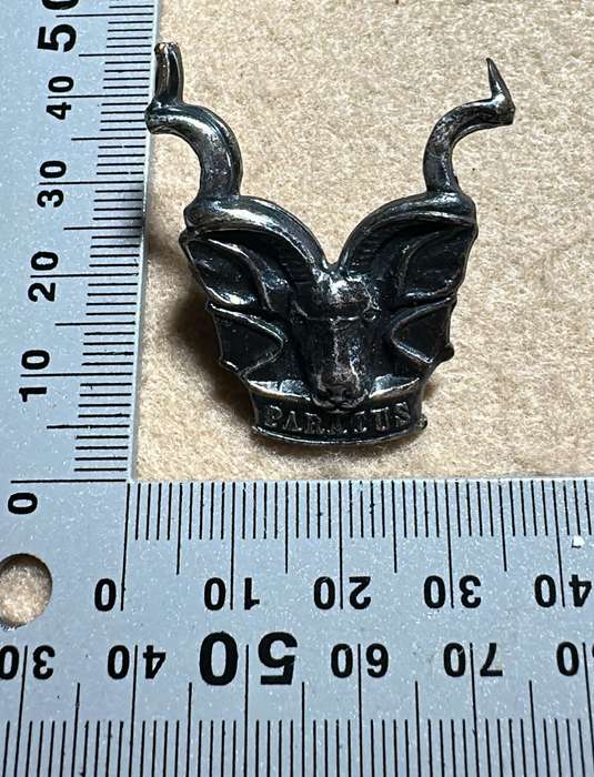 SWATF Area Force Beret/Cap Badge - Metal