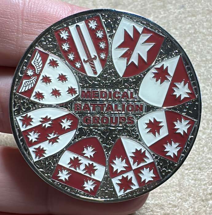 SA ARMY - 7 Medical Battalion - MEDICAL BATTALION GROUP Medallion
