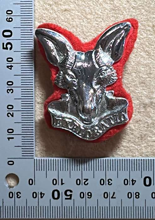 SA ARMY - Intelligence Beret Chromed Badge with Red Felt backing