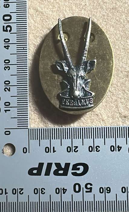 SWATF Headquarters - Chrome Cap/Beret Badge with Backing Plate