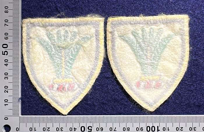SWA Sector 10 HQ Embroidered Shoulder Flashes - Pair