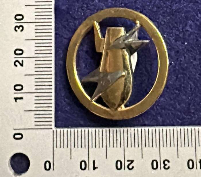 SADF / SANDF ... EOD (BOMB DISPOSAL) QUALIFICATION BADGE - Full size