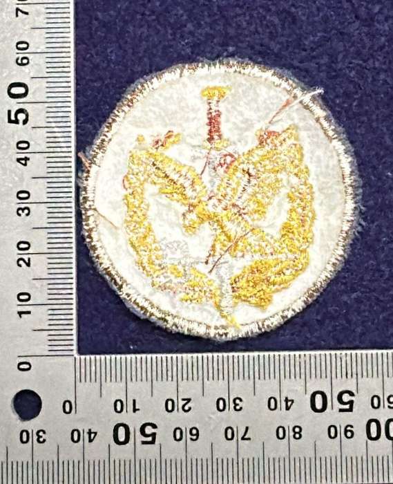 SAP, Special Task Force - Operator Qualification Badge Blue - Embroidered