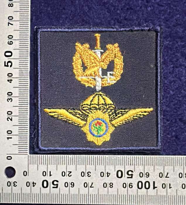 SAPS, Special Task Force - Operator & Para Qualification Combined Badge - Embroidered