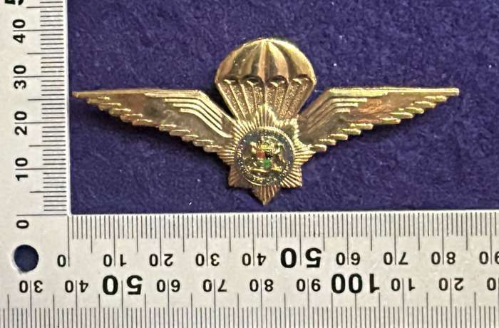 SAP - Para Qualification Badge - Metal - 2 pins
