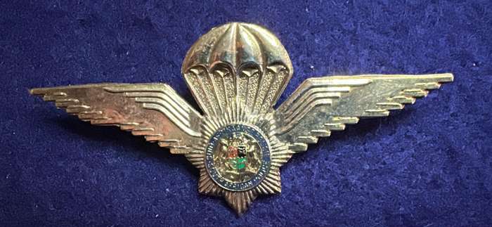 SAP - Para Qualification Badge - Metal - 2 pins