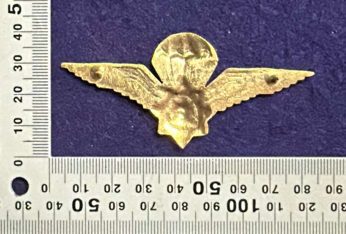 SAP - Para Qualification Badge - Metal - 2 pins