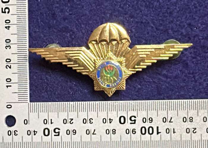 SAP - Taskforce Para Qualification Badge - Metal - 2 pins