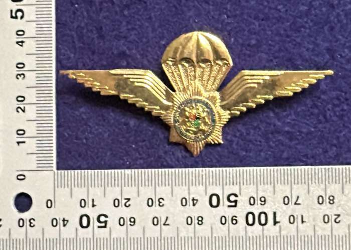 SAP - Taskforce Para Qualification Badge - Metal - 2 pins