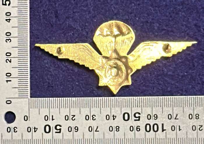 SAP - Taskforce Para Qualification Badge - Metal - 2 pins