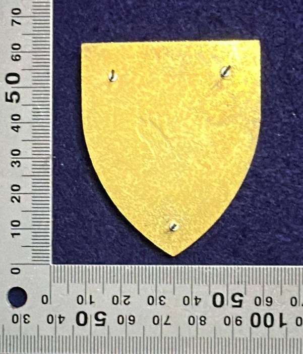SADF - 1 Parachute Battalion Flash - Left Facing - 3 pins