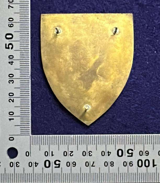 SADF - 1 Parachute Battalion Flash - Right Facing - 3 pins