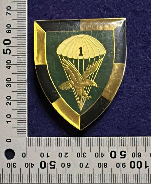 SADF - 1 Parachute Battalion Flash - Right Facing - 3 pins