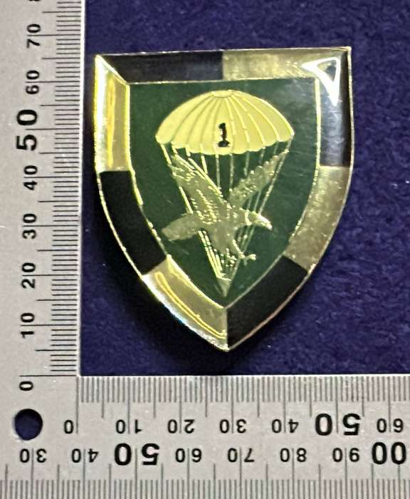 SADF - 1 Parachute Battalion Flash - Right Facing - 3 pins