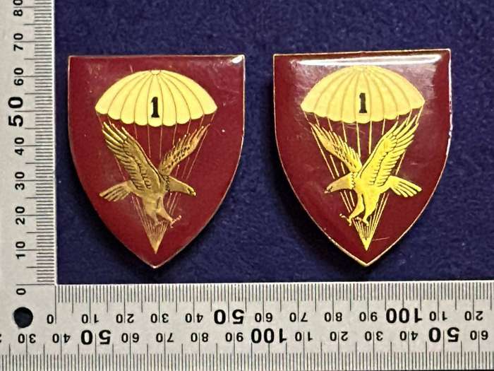 SADF - 1 Parachute Battalion Flashes - Set - 1 pin off