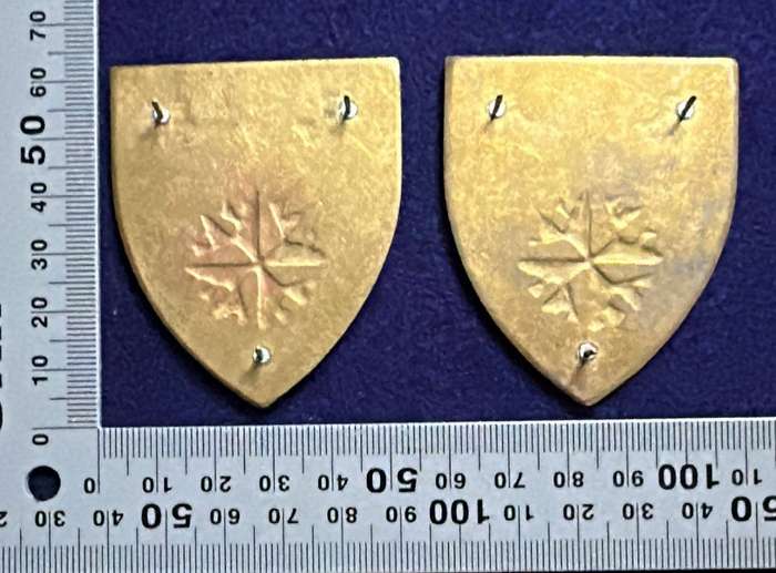 SA ARMY - 4 Special Forces Regiment Flashes - Set - all pins